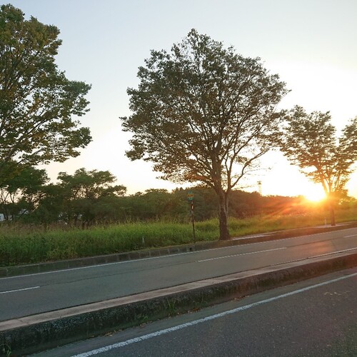DSC_4181_copy_800x800.jpg