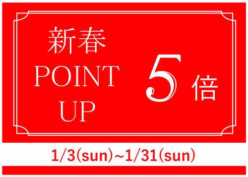 point5倍POP(横)_アートボード 1.jpg